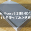 Magic Mouse2は使いにくい？1カ月使ってみた感想